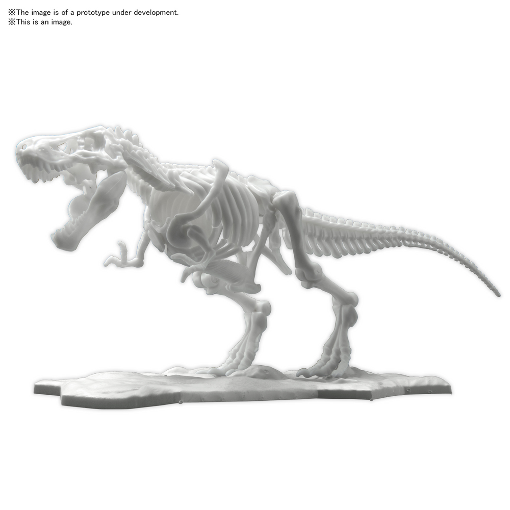 Bandai Spirits Hobby Dinosaur Model Kit Limex Skeleton, Tyrannosaurus