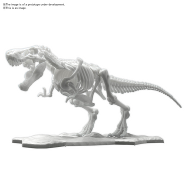 Bandai Spirits Hobby Dinosaur Model Kit Limex Skeleton, Tyrannosaurus