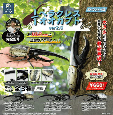 1/1 Hercules Beetle ver2.0 Single Unit