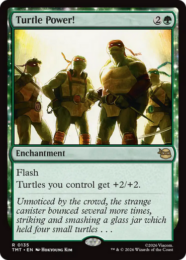 Turtle Power! [Teenage Mutant Ninja Turtles]