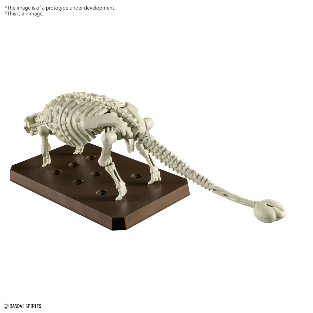 Bandai Dinosaur Plastic Model Kit #06 Ankylosaurus