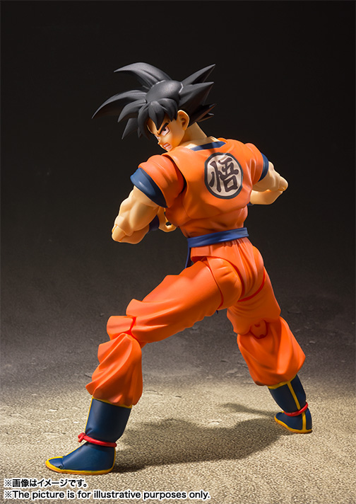 Son Goku -A Saiyan Raised On Earth- Dragon Ball Z, TAMASHII NATIONS S.H.Figuarts