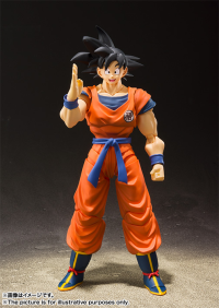 Son Goku -A Saiyan Raised On Earth- Dragon Ball Z, TAMASHII NATIONS S.H.Figuarts