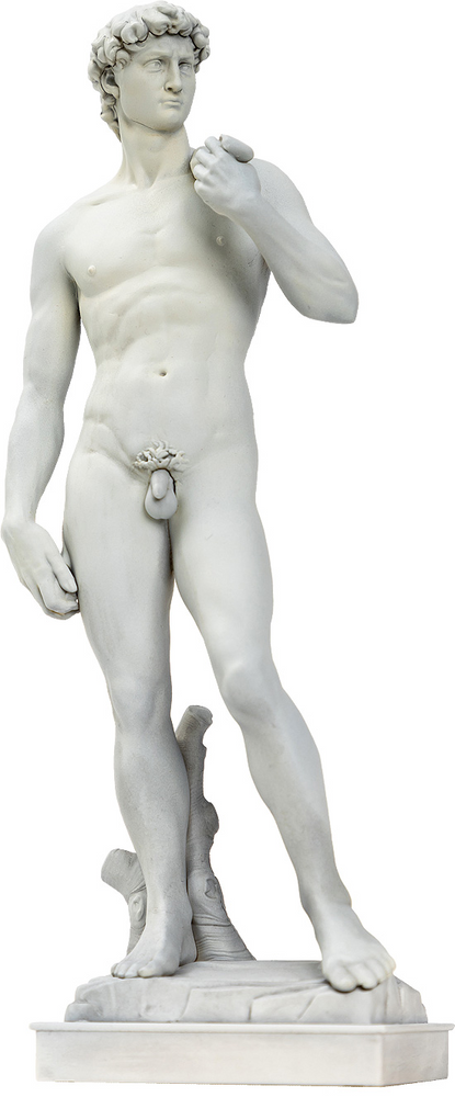 David