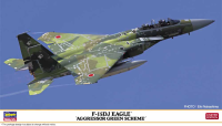 HASEGAWA 1/72 F-15DJ EAGLE "AGGRESSOR GREEN SCHEME"