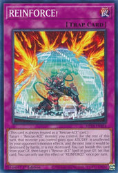 REINFORCE! [MP24-EN354] Common