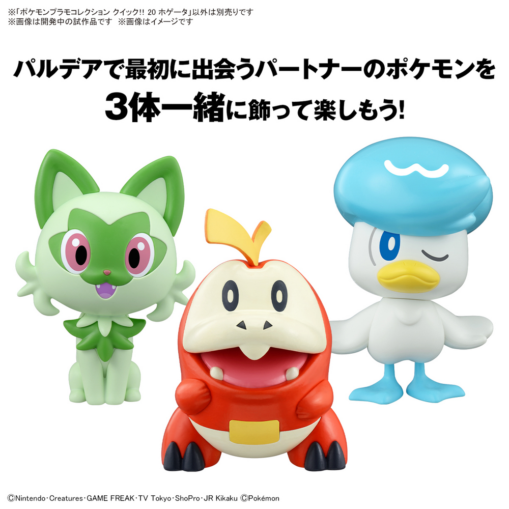 POKEMON MODEL KIT QUICK!! 20 FUECOCO