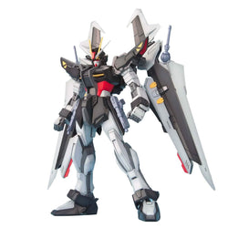 MG Seed Stargazer Strike Noir Gundam