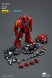 JOYTOY BLOOD ANGELS INTERCESSORS