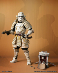 Ashigaru Stromtrooper (Remnant)