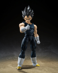 VEGETA SUPER HERO 