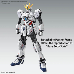 MG 1/100 NARRATIVE GUNDAM C-PACKS VER.KA