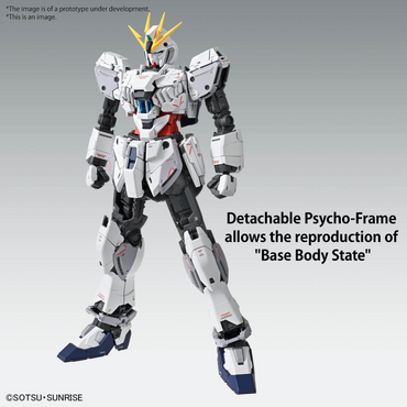 MG 1/100 NARRATIVE GUNDAM C-PACKS VER.KA