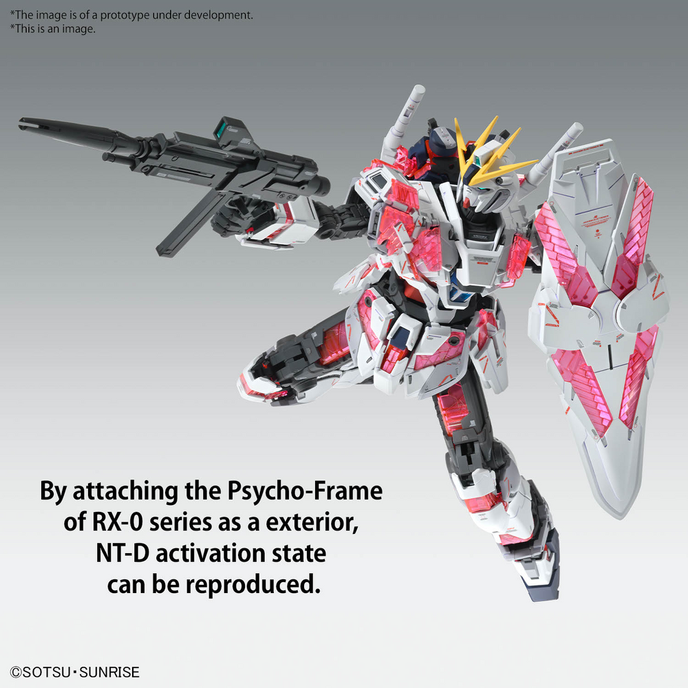 MG 1/100 NARRATIVE GUNDAM C-PACKS VER.KA