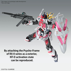 MG 1/100 NARRATIVE GUNDAM C-PACKS VER.KA