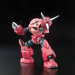 RG 1/144 Zgok Char Custom