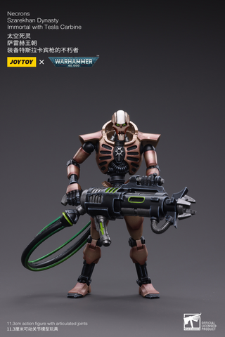 Necrons Szarekhan Dynasty lmmortal with Tesla Carbine [2PCS]