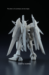 RG 1/144 #11 Destiny Gundam
