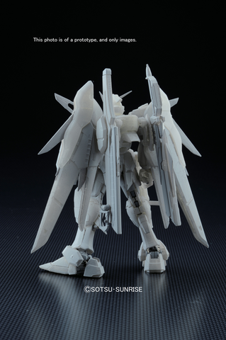 RG 1/144 #11 Destiny Gundam