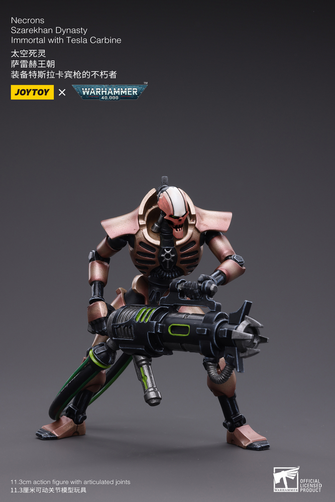 Necrons Szarekhan Dynasty lmmortal with Tesla Carbine [2PCS]