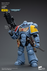 JOYTOY SPACE WOLVES INTERCESSORS
