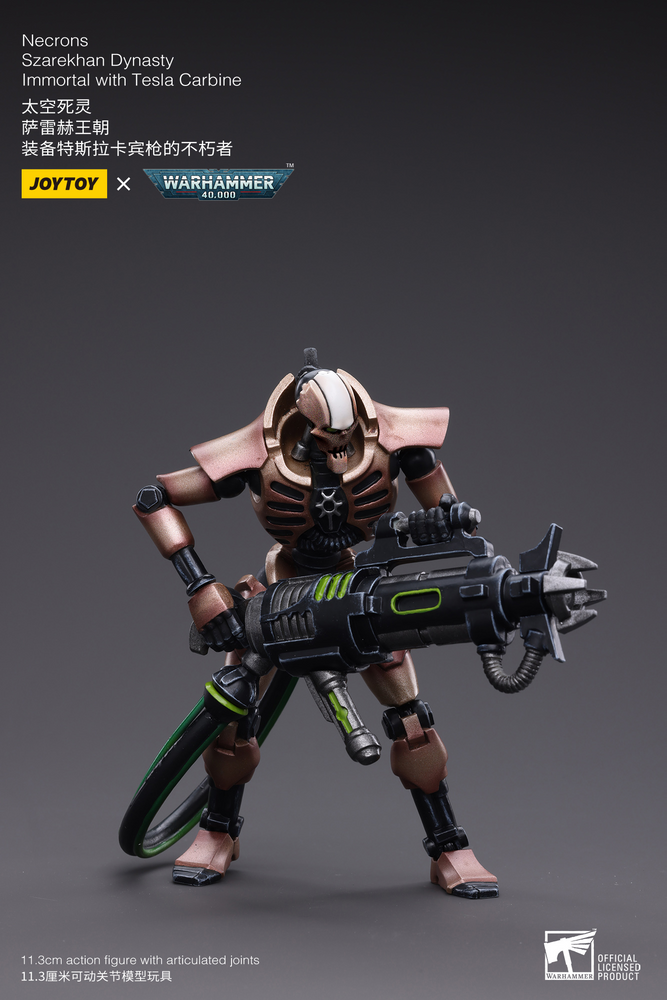 Necrons Szarekhan Dynasty lmmortal with Tesla Carbine [2PCS]