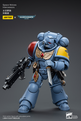 JOYTOY SPACE WOLVES INTERCESSORS