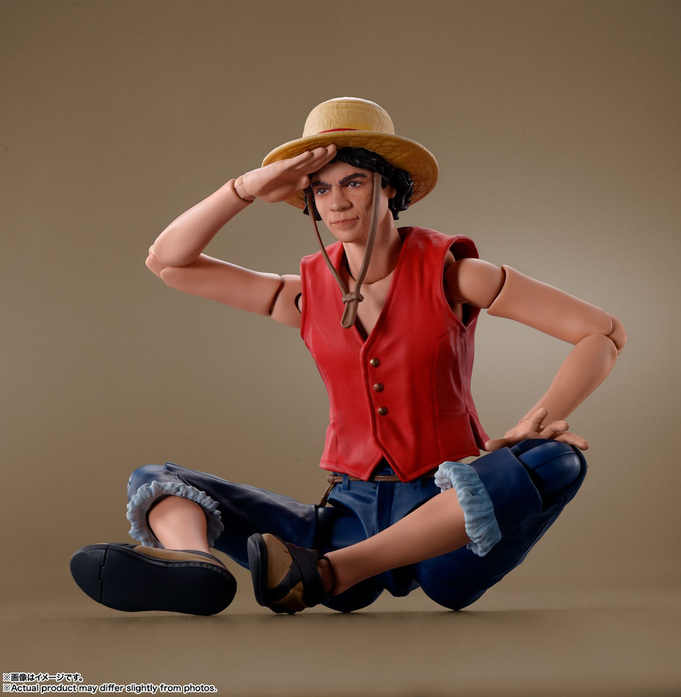 Monkey D.Luffy (A Netflix Series: One Piece)