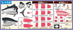 MEGAHOUSE KAITAI PUZZLE TUNA