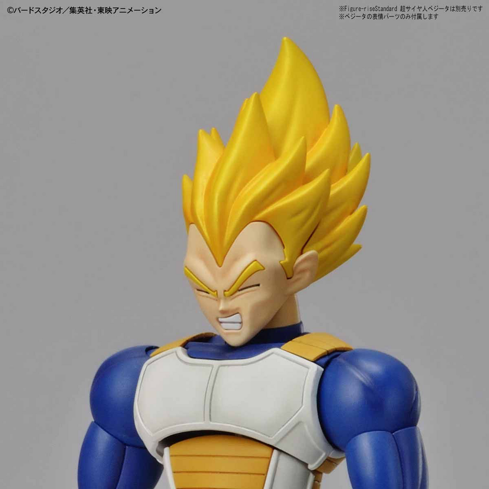 FIGURE-RISE STANDARD LEGENDARY SUPER SAIYAN BROLY (PKG RENEWAL)