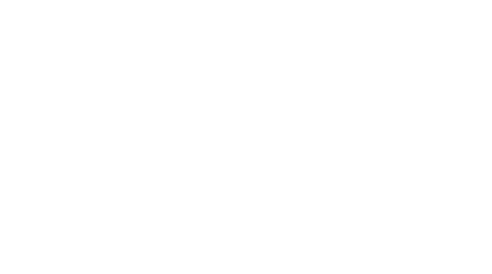 The Army Painter