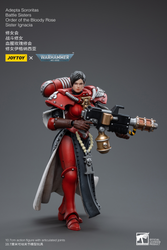 Joy Toy ADEPTA SORORITAS BATTLE SISTERS ORDER OF THE BLOODY ROSE SISTER IGNACIA