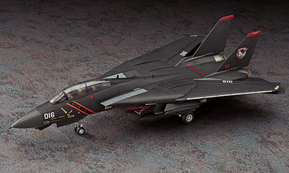 HASEGAWA 1/72 F-14A TOMCAT "ACE COMBAT RAZGRIZ"