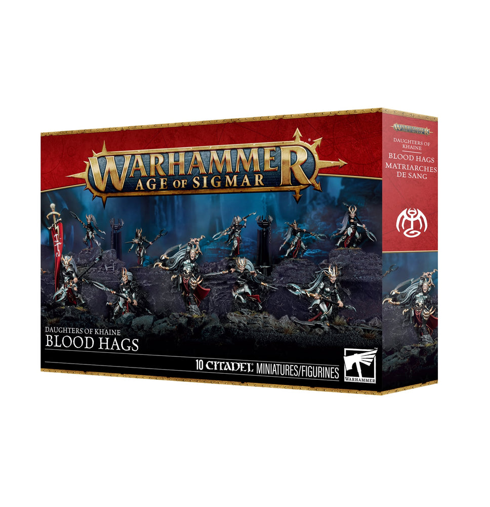 WARHAMMER: AGE OF SIGMAR DAUGHTERS OF KHAINE BLOOD HAGS