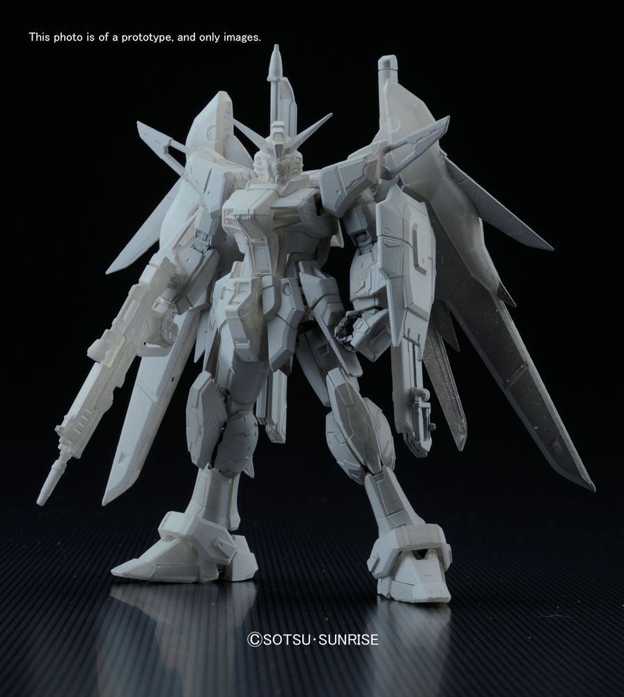 RG 1/144 #11 Destiny Gundam