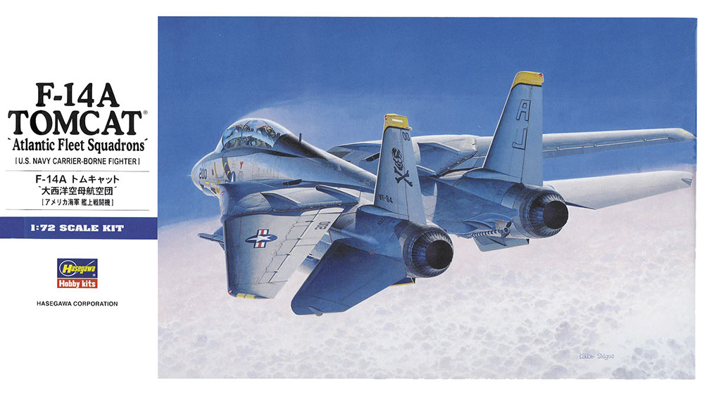 Hasegawa 1/72 F-14A Tomcat (Atlantic FS)