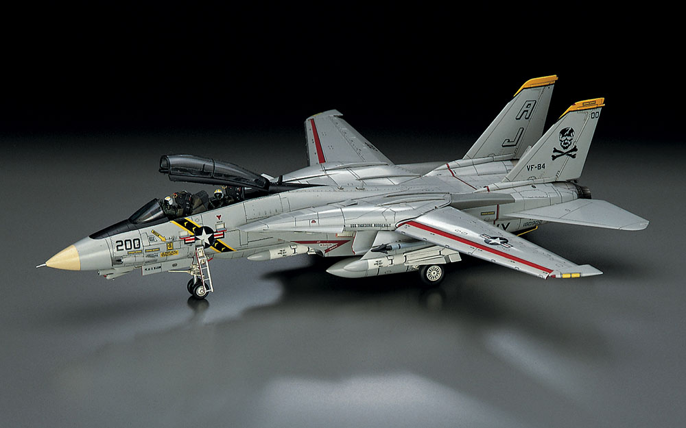 Hasegawa 1/72 F-14A Tomcat (Atlantic FS)