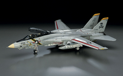 Hasegawa 1/72 F-14A Tomcat (Atlantic FS)