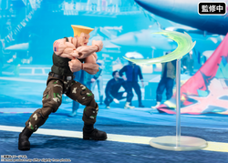 GUILE -Outfit 2- "Street Fighter series", TAMASHII NATIONS S.H.Figuarts