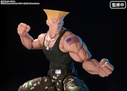 GUILE -Outfit 2- "Street Fighter series", TAMASHII NATIONS S.H.Figuarts