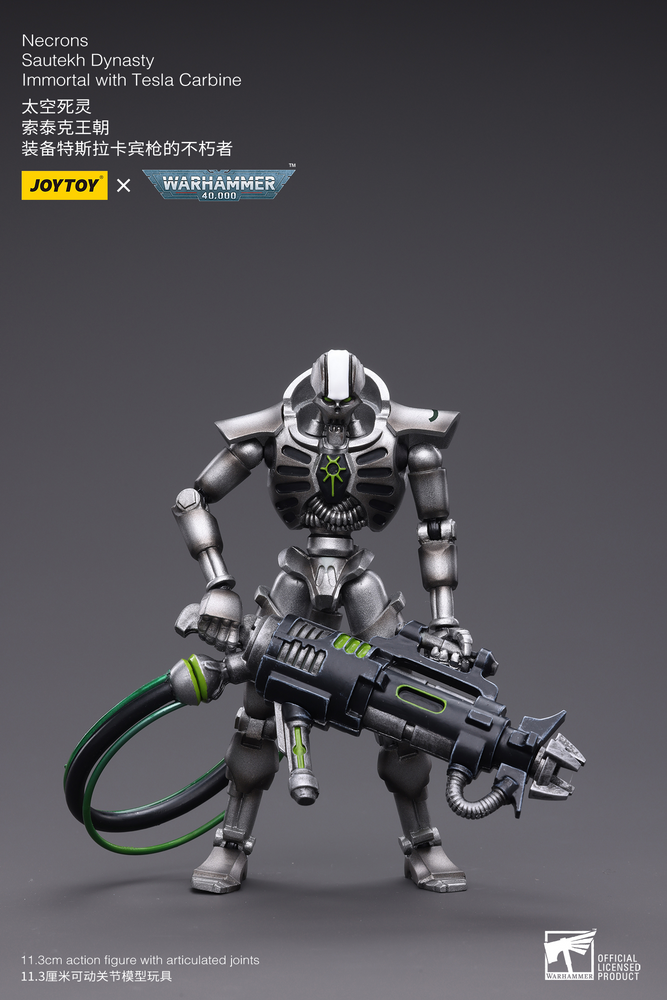 Joy Toy Necrons Sautekh Dynasty Immortal with Tesla Carbine
