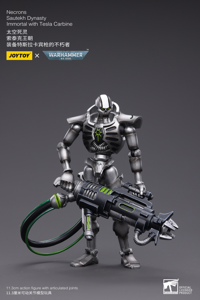 Joy Toy Necrons Sautekh Dynasty Immortal with Tesla Carbine