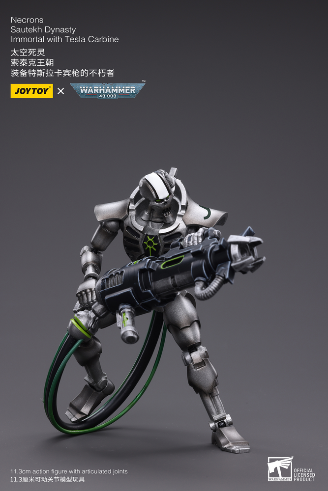 Joy Toy Necrons Sautekh Dynasty Immortal with Tesla Carbine