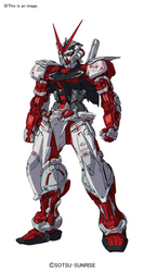 RG 1/144 #19 MBF-P02 GUNDAM ASTRAY RED FRAME