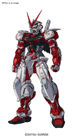 RG 1/144 #19 MBF-P02 GUNDAM ASTRAY RED FRAME