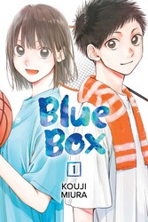 BLUE BOX V1