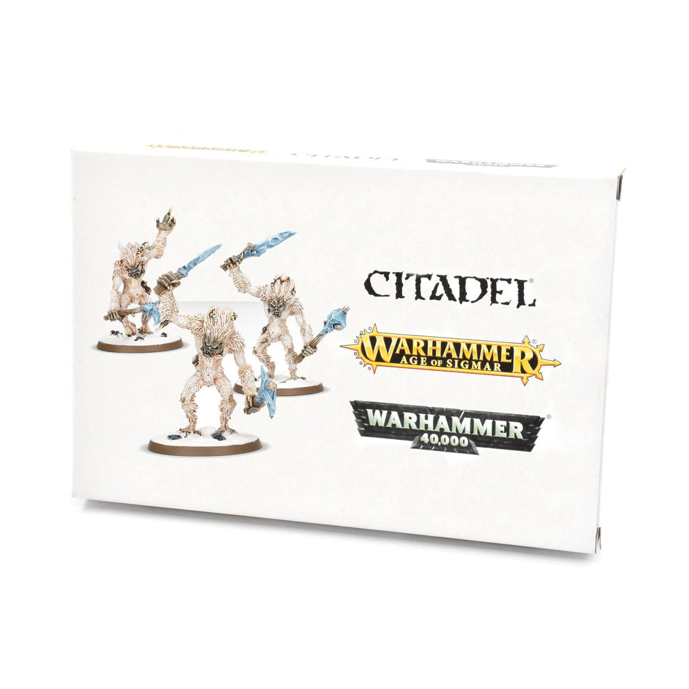 WARHAMMER AGE OF SIGMAR BEASTCLAW RAIDERS ICEFALL YHETEES