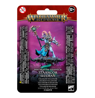 WARHAMMER: AGE OF SIGMAR TZEENTCH ARCANITES TZAANGOR SHAMAN