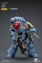 JOYTOY SPACE WOLVES INTERCESSORS