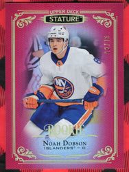 2019-20 Upper Deck Stature Red Rookie / 75 #199 Rookie Rc Noah Dobson /75